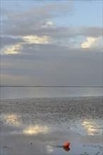 View over the Wadden Sea at low tide, red buoy lying in the mudflats, North Sea, Norddeich, Lower