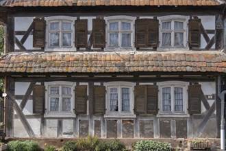 Half-timbered house, dilapidated façade with windows, Alsace, France, Europe