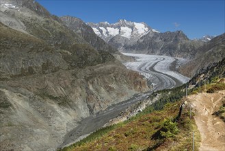 Aletsch Glacier, glacier tongue, panorama, climate change, decline, global warming, ice, global