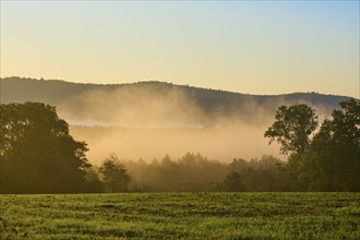 Sunrise over a misty meadow with a row of trees, hills in the background under a clear sky,