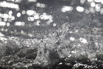 Splashing water against the light, surf, Søndervig Strand, North Sea, Denmark, Europe