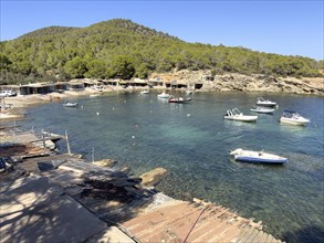 Small harbour with white boats in front of a wooded hilly landscape and clear water, Sa Caleta,