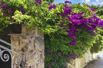 Greece, historic neighborhood of Plaka and Anafiotika in Athens with restaurants near Acropolis,