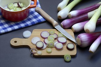 Spring onions and onion rings with a knife on a wooden board, spring onion