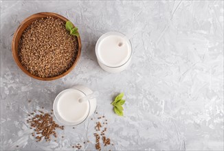 Organic non dairy buckwheat milk in glass and wooden plate with buckwheat seeds on a gray concrete