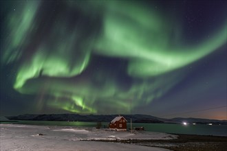 Green northern lights over a red house on the coast, aurora borealis, sea, winter, snow,