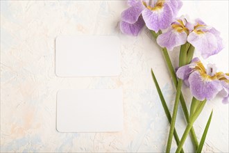 White business card with lilac iris flowers on white concrete background. top view, flat lay, copy