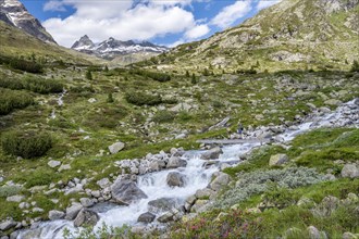 Mountaineer on a bridge over a mountain stream, Hornkeesbach, in front of a picturesque mountain