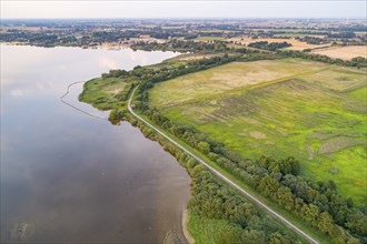 Aerial view of Lake Dümmer, nature reserve, reeds, shore, Hüde, Lower Saxony, Germany, Europe