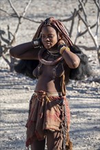 Young traditionally dressed Himba woman, near Opuwo, Kaokoveld, Kunene, Namibia, Africa