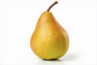 Single yellow pear fruit on white background. KI generiert, generiert, AI generated