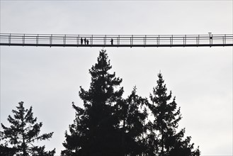 Skywalk Willingen with people on the longest pedestrian suspension bridge in Germany, Sauerland,