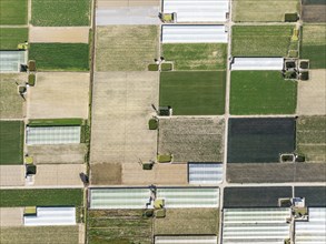 Cultivated fields in the semi rural district of La Algaida next to Sanlúcar de Barrameda. Aerial