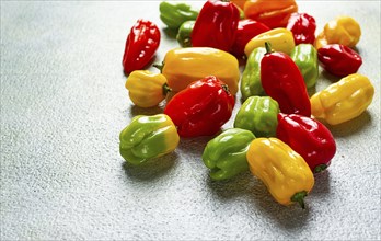 Habanero pepper, color mix, raw, vegetable, top view, no people