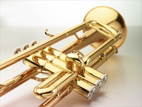 Trumpet in front of a white background, studio shot