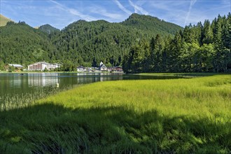 Mountain lake with pond horsetail, water horsetail (Equisetum fluviatile) and village Spitzingsee,