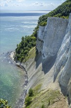 Möns Klint chalk cliff, Baltic Sea, island of Mön, Denmark, Scandinavia, Europe