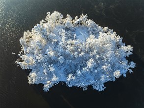 Aerial view of a snow-covered island on a lake, winter, morning light, Alpine foothills, Upper