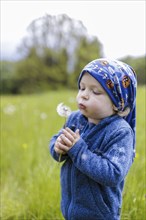 Two year old child with dandelions, Murnau, 19.05.2023