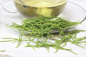 Horsetail tea, tea, medicinal tea, herbal tea, medicinal plant, Equisetum arvense, the field