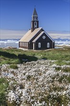 Church in front of blue sky and icebergs, cotton grass, summer, Zion's Church, Jakobshavn Glacier