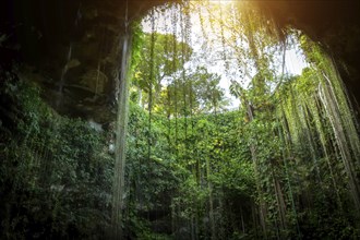 Ik Kil Cenote located in the northern center of the Yucatan Peninsula, a part of the Ik Kil