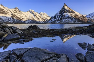 Evening light over steep mountains, reflection in fjord, winter, Moskenesoya, Lofoten, Norway,