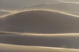 Sand dunes, Erg Chebbi, Sahara, Southern Morocco, Morocco, Africa