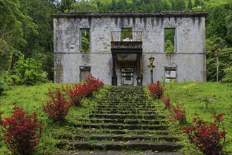 An abandoned ruined building in the middle of a wooded area, an overgrown stone staircase leads up,