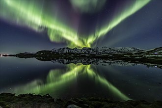 Yellow and green northern lights reflected in fjord, steep mountains, aurora borealis, winter,