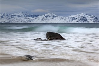 Rocks on the beach in front of snowy mountains, dark clouds, sea, spray, winter, Vikten,