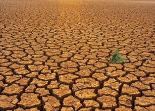 Symbolic image, water shortage, water emergency, global drought, climate crisis, climate change,