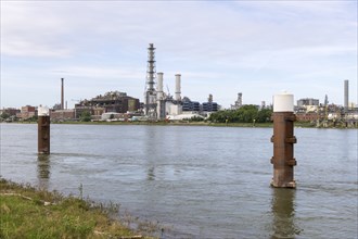 BASF, Lugwigshafen am Rhein, industrial area, Poller, Mannheim, Baden-Württemberg, Germany, Europe