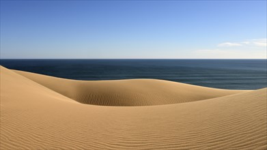 The yellow sand of the Namib Desert on the Atlantic coast, Namibia, Africa