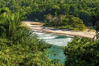 Bonete Beach on the island of Ilhabela hidden between the sea and forest, Bonete beach, Ilhabela,