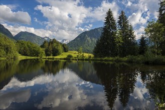 Moorweiher, Oberstdorf, Oberallgäu, Allgäu, Bavaria, Germany, Europe