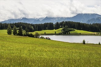 Attlesee, near Nesselwang, Oberallgäu, Allgäu, Swabia, Bavaria, Germany, Europe