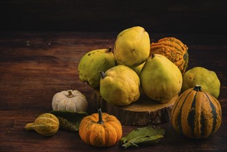 Still life with pumpkins and quinces on a wooden table, autumnal atmosphere