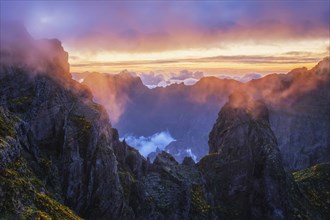 Mountains on sunset covered in fog and clouds with blooming Cytisus shrubs. Near Pico de Arieiro,