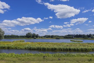 Steinhorst Basin, nature reserve, nature, Ems, tourism, landscape, Delbrücker Land, Steinhorst,