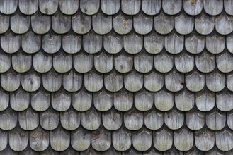 Wooden roof shingles, texture, background, wall, roof, building material, traditional, tradition,