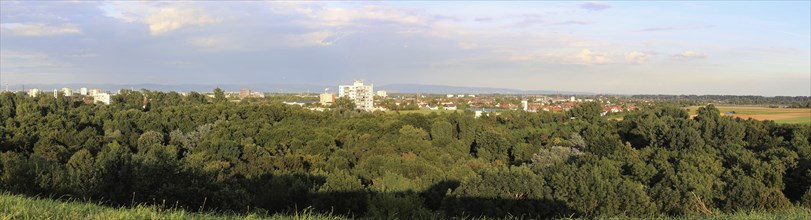 View from Michaelsberg in Maudacher Bruch, Ludwigshafen