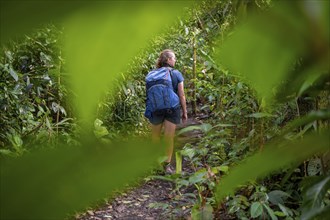 Tourist exploring rainforest, dense vegetation, Tortuguero National Park, Costa Rica, Central