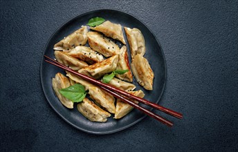 Japanese fried gyoza dumplings, with pork, sesame seeds, green onions