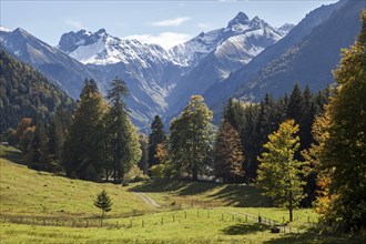 View from dOberallgäu, Allgäu, Bavaria, German Oytalstraße on mountains of the Allgäu Alps, autumn