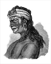 Indians, here a man from Patagonia, South America, illustration from 1880, historical, digital