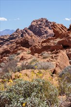 Rock formations along the Fire Canyon Overlook Trail at Valley of Fire State Park near Overton,