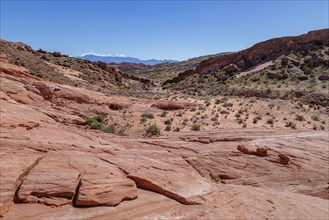 Layered rock formations along the Fire Wave Trail at Valley of Fire State Park near Overton,