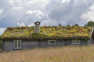 Wooden house, natural roof, grass roof, green roof, log house, natural log, mountain hut, Savalen,