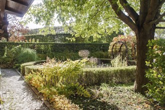 Old cottage garden with vines, trees and pergola. Landscape design with hedges, trimmed bushes